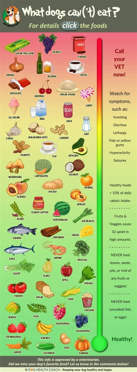 At this stage don't worry about overfeeding. An interactive and print ready VET APPROVED list of human ...