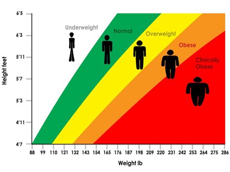 5 Things The Scale Cant Tell You About Your Health Vivo Life Vivo