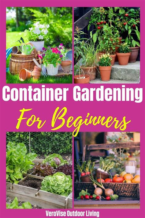 How To Start A Vegetable Container Garden Beautiful Insanity
