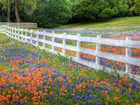 49 Best Images About Spring And Summer Scenes On Pinterest