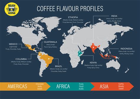 Coffee Flavour Profiles Beanandgone Kopi Minuman Ide Berkebun