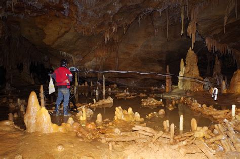 In Photos Stunning Stalagmite Structures Discovered In French Cave