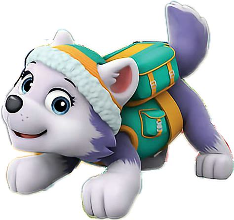 View And Download Hd Everest Paw Patrol Png  Free Everest Paw
