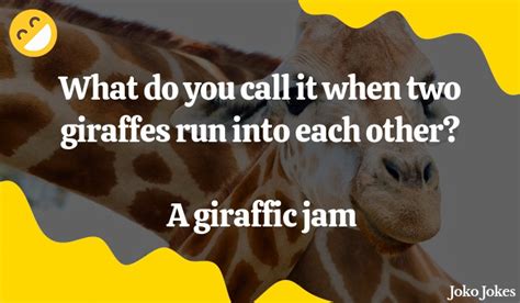 169 giraffe jokes and funny puns jokojokes