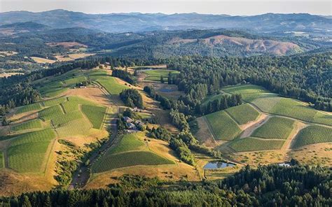 yamhill county in oregon has more than 80 award winning wineries