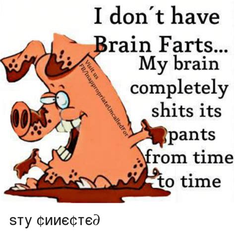 I Dont Have Brain Farts My Brain A Completely Shits Its Pants Rom Time