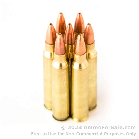 20 Rounds Of Discount 55gr Tsx 223 Ammo For Sale By Ted Nugent Ammo