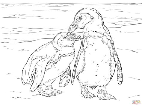 Adelie Penguin Coloring Page Coloring Home