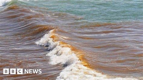 Raw Sewage Discharged At Cornwall And Devon Beaches Bbc News