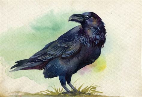 Raven Watercolor Black Raven Watercolor Painting — Stock Photo