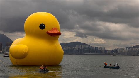 Giant Rubber Ducks Make Return Splash To Hong Kong After Years Itv