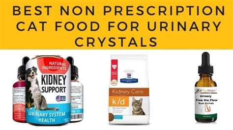 We did not find results for: Best Non Prescription Cat Food For Urinary Crystals