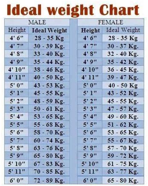 'a person's dating app bio is the only way to give an insight into their personality and to showcase what's truly behind. Ideal weight chart - Andre Cubeta
