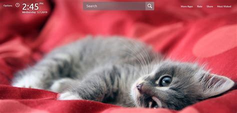 Cute Kittens Hd Wallpapers Theme Chrome Extension Chrome
