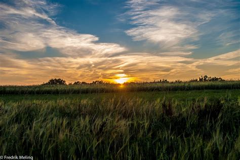 Wallpaper Sunlight Trees Landscape Sunset Nature Reflection Sky