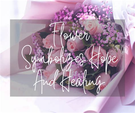 Flower Symbolic Meaning Healing Home Alqu