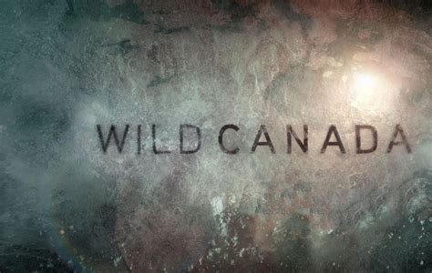wild canada wild canada