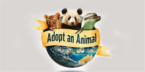 Rules Of The Jungle Benefits Of Purchasing Adopt An Animal T Pack