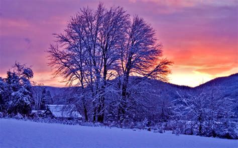 Winter Sunset Wide Wallpaper Scenery In 2019 Winter
