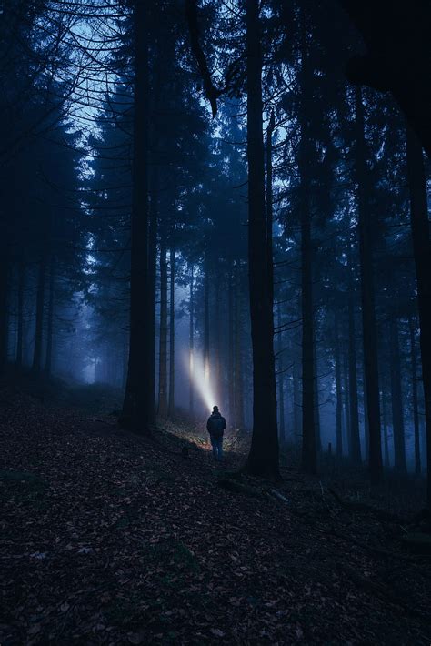 1366x768px 720p Free Download Forest Fog Dark Man Flashlight Hd