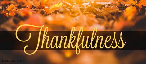 3 Weeks Of Thankfulness Week 1 Van Gelder Financial