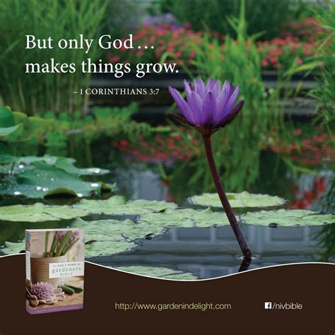 Bible verses about flowers niv. Pin on Easter