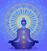 The 7 Chakras Every Yogi Must Know | Ambuja Yoga