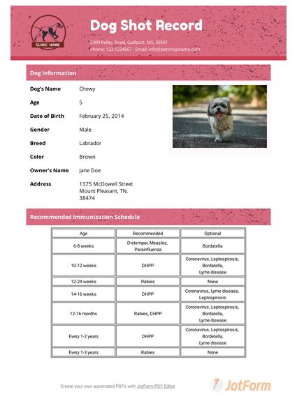 Tables de salle a manger avec rallonges pole position printable veterinary record pet medical chart dog vet record cat vet record instant download pdf. Dog Shot Record Template - PDF Templates | JotForm