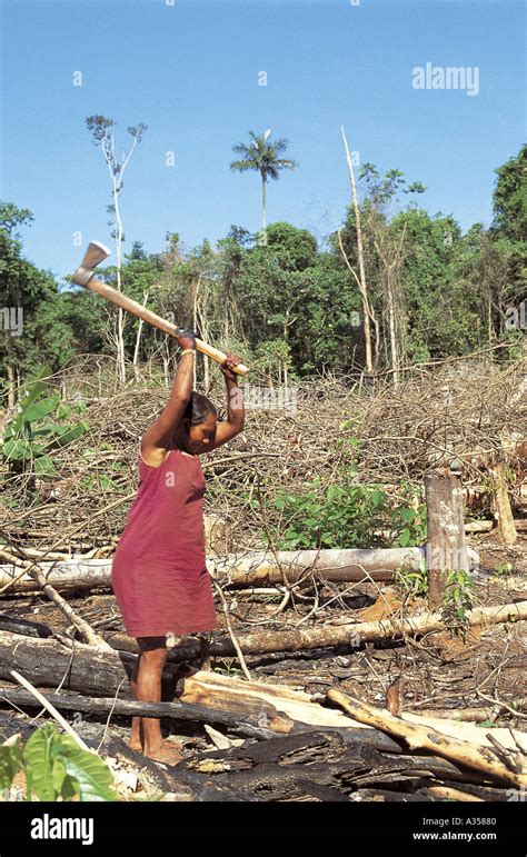 Un Ukre Village Kayapo Brésil Femme Couper Du Bois Dans Les Champs à Laide Dune Hache Parc Du