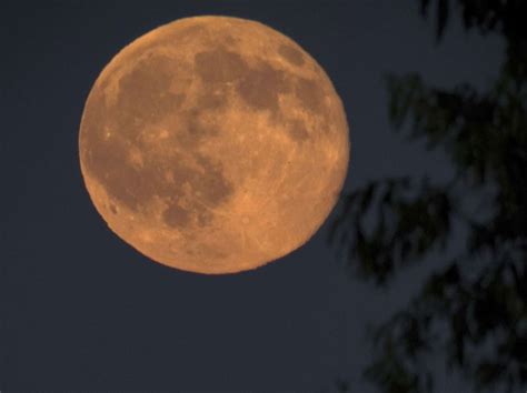 Pleine lune du 27 avril 2021 : PHOTOS. La Lune Rose au solstice d'été : admirez le phénomène