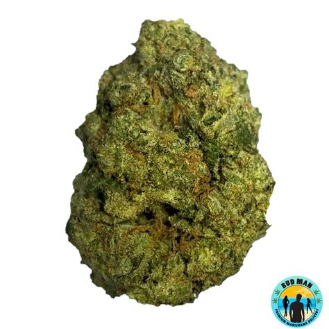 Mac Daddy Bud Man Orange County Dispensary Delivery