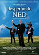 Despertando a Ned (1998) | Movie posters, Cando, Poster