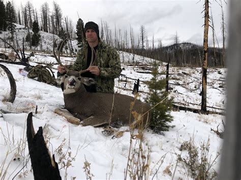 2019 Hunting Recap Part Ii Idaho Buck Backcountry Precision Long