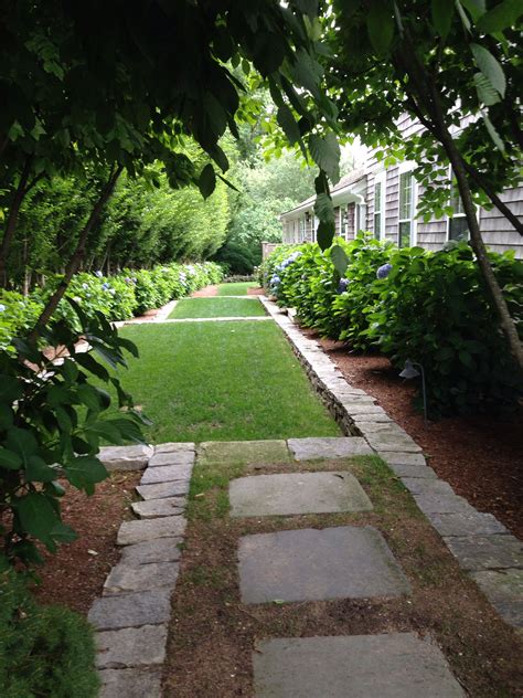 Nantucket Path Alongside A House With Privet And Hydrangea Hydranga