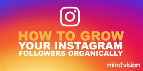 3 Steps For Effective Instagram Marketing Waheat