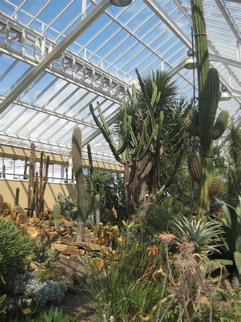 Meise design group is company that has no limitations, and has knowledge in a vast amount of services in the landscape industry. Nationale Plantentuin, Meise | De Nationale Plantentuin in ...