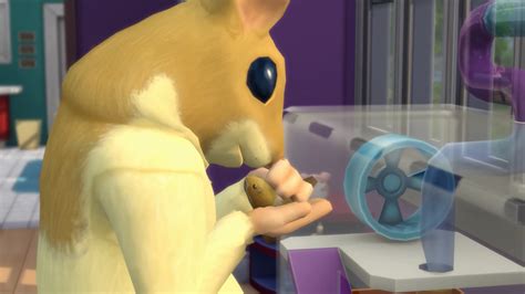 Sims 4 Rat Cc