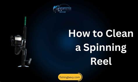 Complete Guide To Clean A Spinning Reel With These Easy Steps