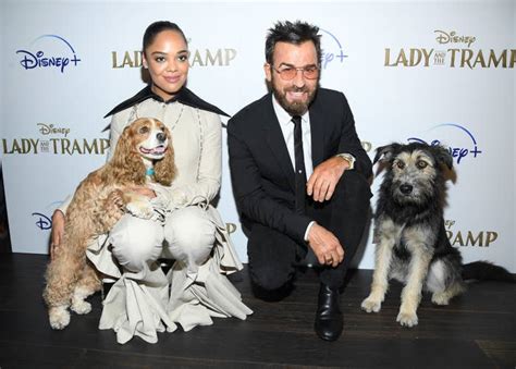 Dec 26, 2015 · terry the tramp: Tessa Thompson And Justin Theroux At "Lady And The Tramp" Premiere In NYC With Dogs