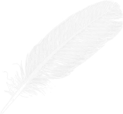 Feather clipart feather indian, Feather feather indian Transparent FREE ...