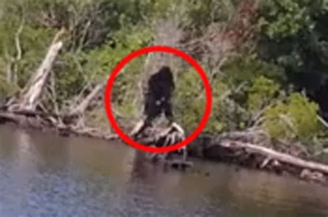 Man Who Claimed To Have Shot Bigfoot Uploads Photo Of It 25 Years Later
