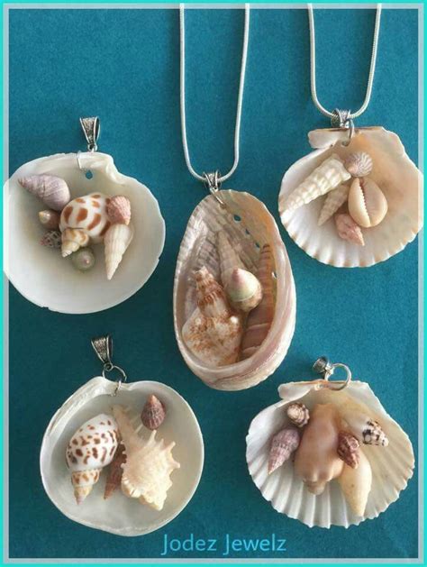 Seashell Diy Crafts Catalyseceatiba