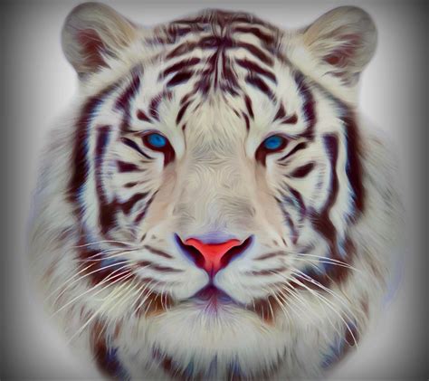 If you're looking for the best cool animal wallpapers then wallpapertag is the place to be. Cool Animal Wallpapers (67+ background pictures)