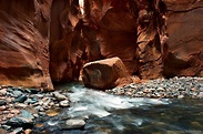 The Wall Street Narrows | Zion National Park | Michael Ambrose Photography