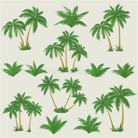 Ejemplo Tropical De La Palmera Ilustración Del Vector Ilustración De