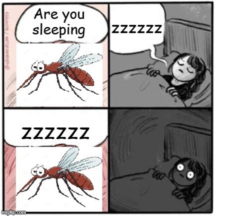 mosquito memes and s imgflip