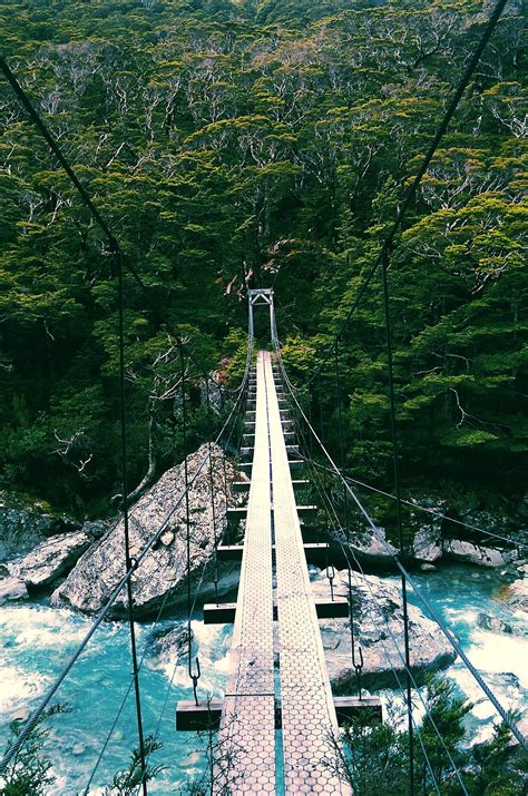 Suspension Bridge In Fiordland New Zealand Travel Forum Board