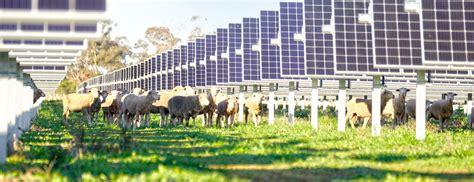 Neoens Numurkah Solar Farm Begins Full Scale Commercial Operation For
