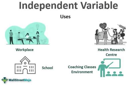 Independent Variable - Definition, Examples, How it Works?