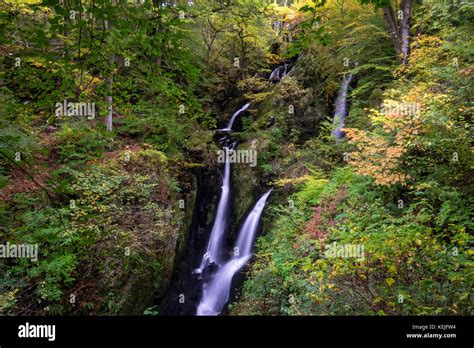 Stock Ghyll Force Waterfall In Autumn Near Ambleside Lake District
